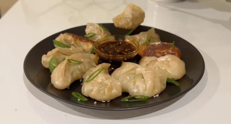 Pan-Fried Chicken Dumplings