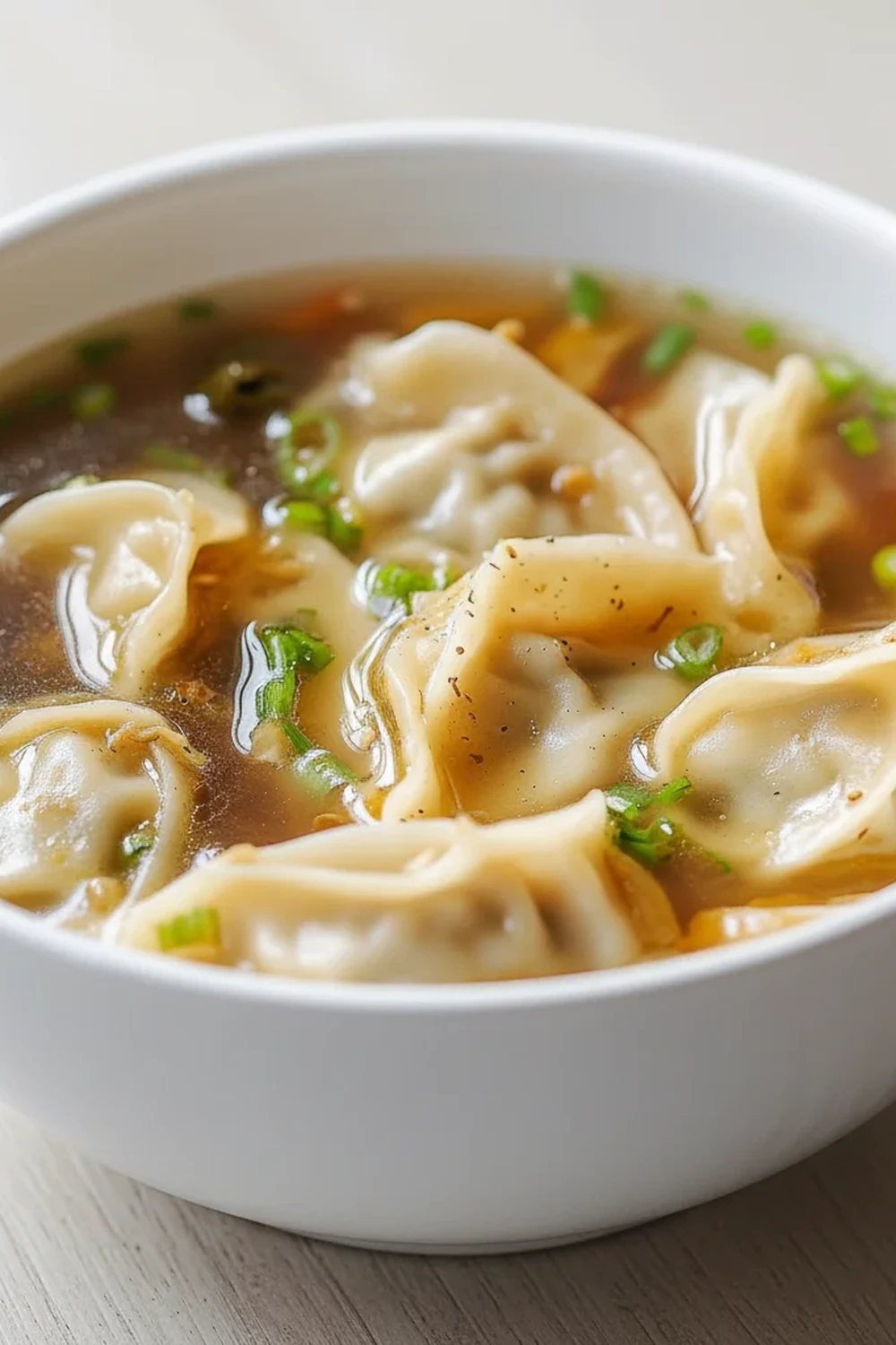Potsticker Soup Recipe